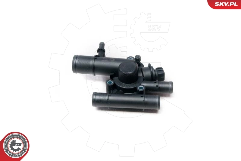 Thermostat, coolant